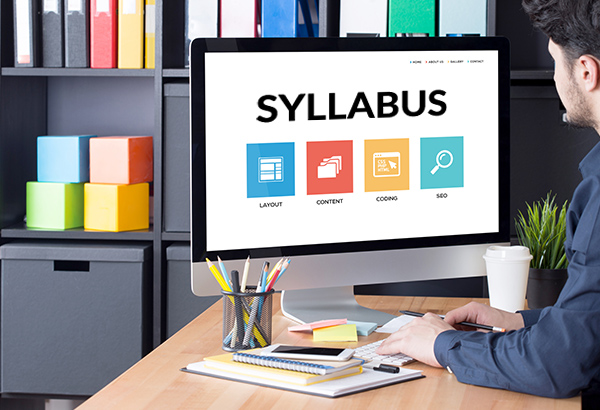 Syllabus Visual